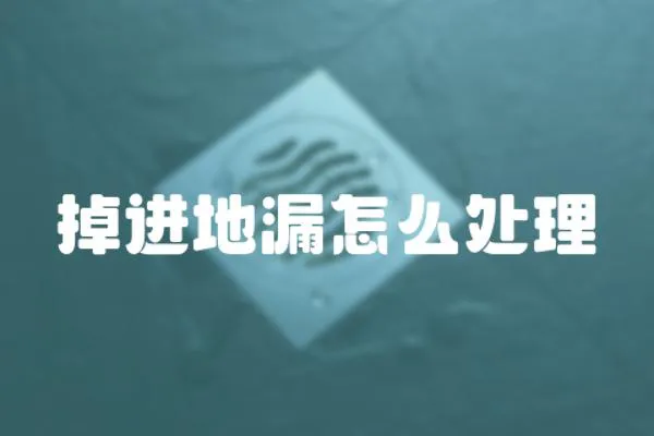 掉進地漏怎么處理