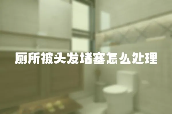 廁所被頭發堵塞怎么處理