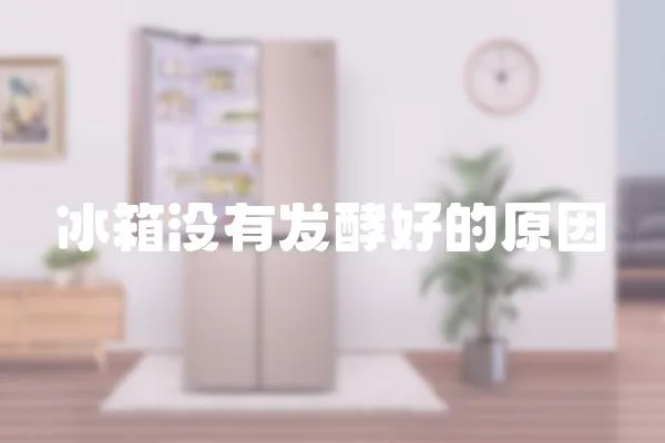 冰箱沒有發酵好的原因