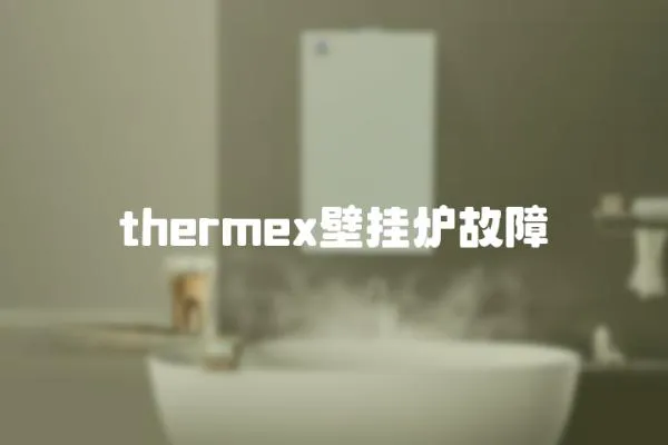 thermex壁掛爐故障