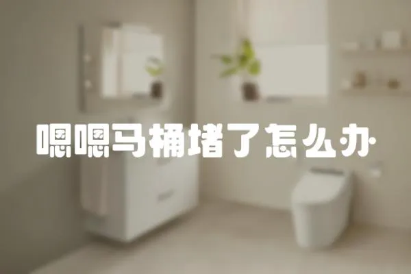 嗯嗯馬桶堵了怎么辦