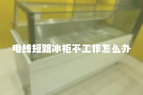 電線短路冰柜不工作怎么辦