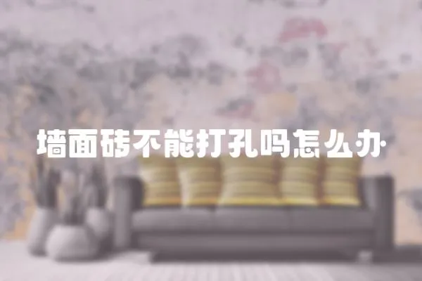 墻面磚不能打孔嗎怎么辦