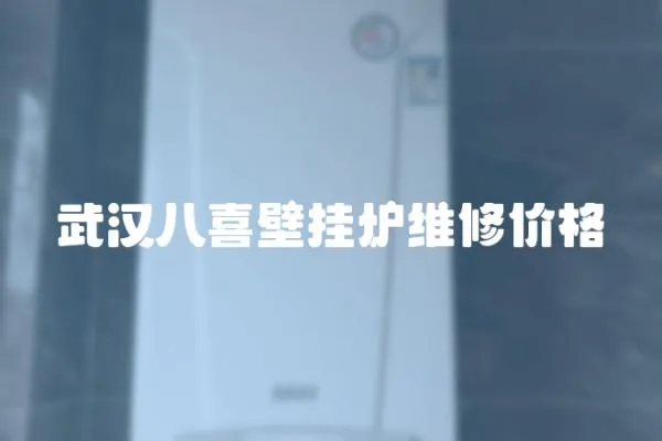 武漢八喜壁掛爐維修價(jià)格