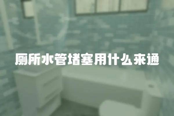 廁所水管堵塞用什么來通