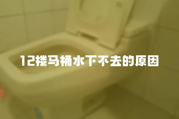 12樓馬桶水下不去的原因