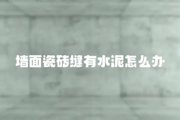 墻面瓷磚縫有水泥怎么辦