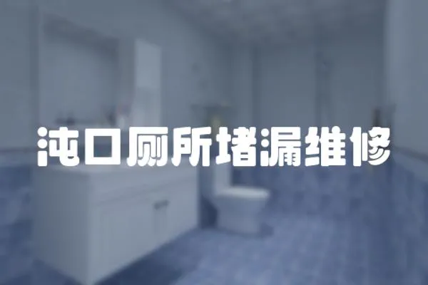 沌口廁所堵漏維修