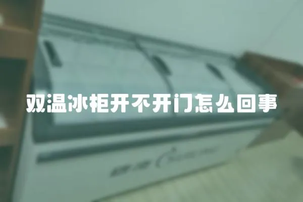 雙溫冰柜開不開門怎么回事