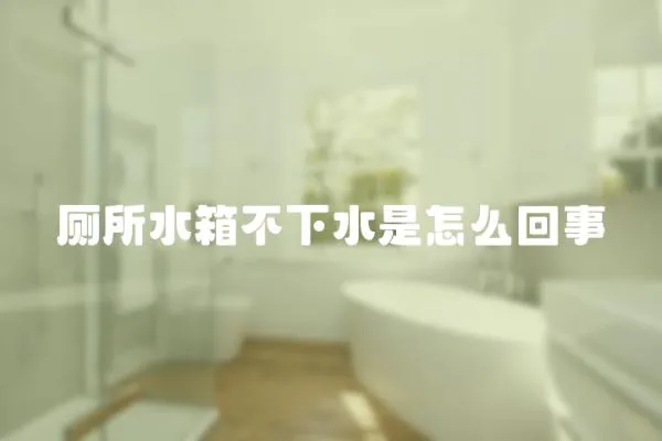 廁所水箱不下水是怎么回事