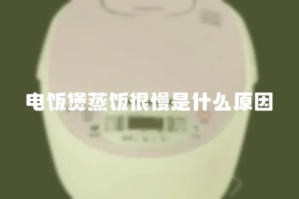 電飯煲蒸飯很慢是什么原因
