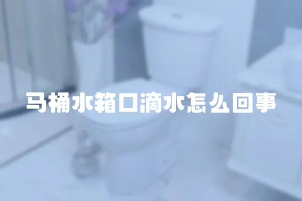 馬桶水箱口滴水怎么回事