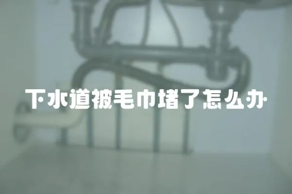 下水道被毛巾堵了怎么辦
