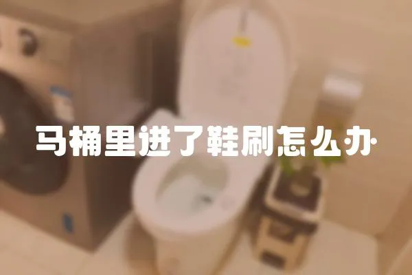 馬桶里進了鞋刷怎么辦