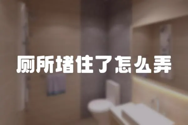 廁所堵住了怎么弄