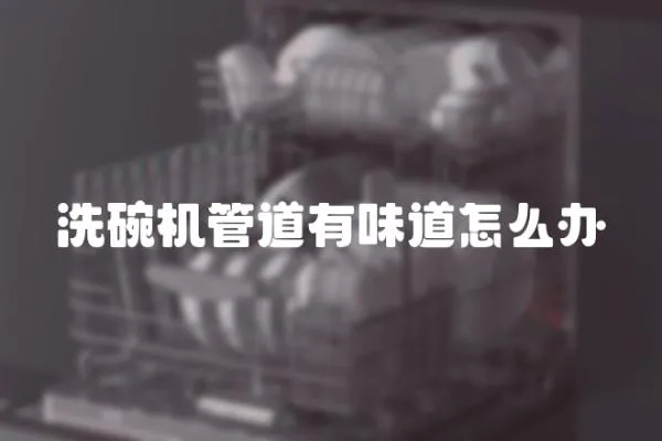 洗碗機管道有味道怎么辦