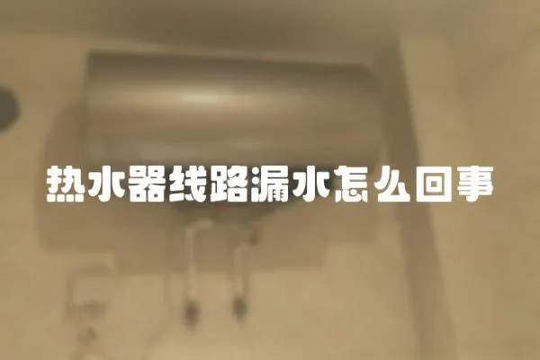 熱水器線路漏水怎么回事