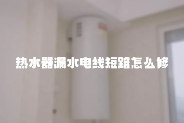 熱水器漏水電線短路怎么修