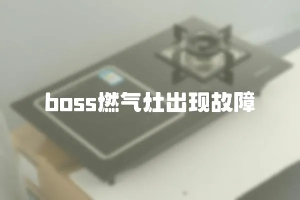 boss燃气灶出现故障