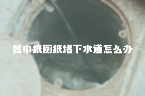 餐巾紙廁紙堵下水道怎么辦