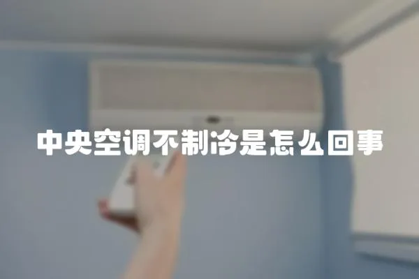 中央空調(diào)不制冷是怎么回事