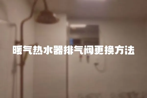 暖氣熱水器排氣閥更換方法