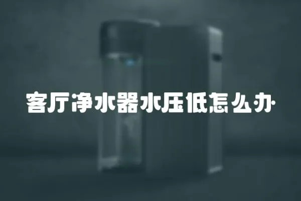 客廳凈水器水壓低怎么辦