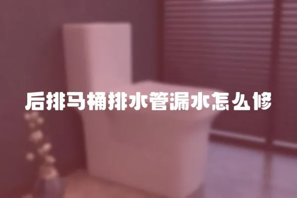 后排馬桶排水管漏水怎么修