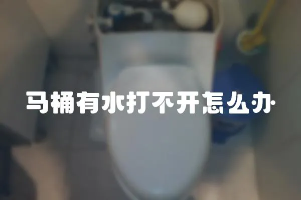 馬桶有水打不開怎么辦