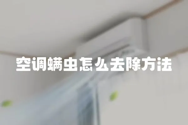 空調螨蟲怎么去除方法