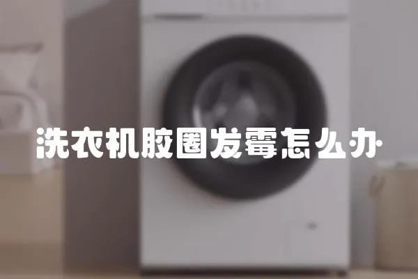 洗衣機膠圈發霉怎么辦