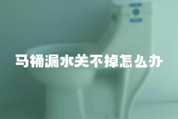 馬桶漏水關不掉怎么辦