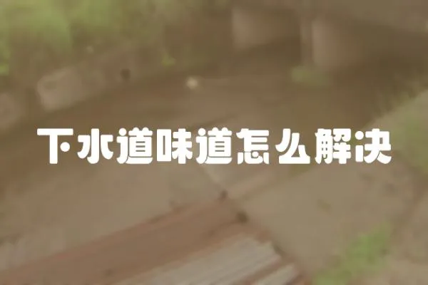 下水道味道怎么解決