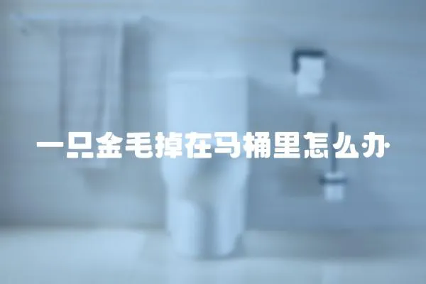 一只金毛掉在馬桶里怎么辦