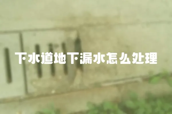 下水道地下漏水怎么處理