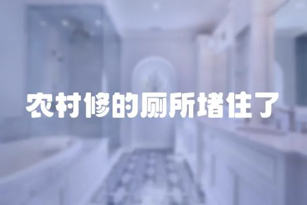 農村修的廁所堵住了