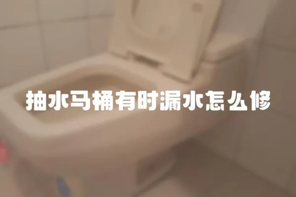 抽水馬桶有時漏水怎么修