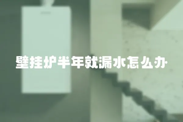 壁掛爐半年就漏水怎么辦