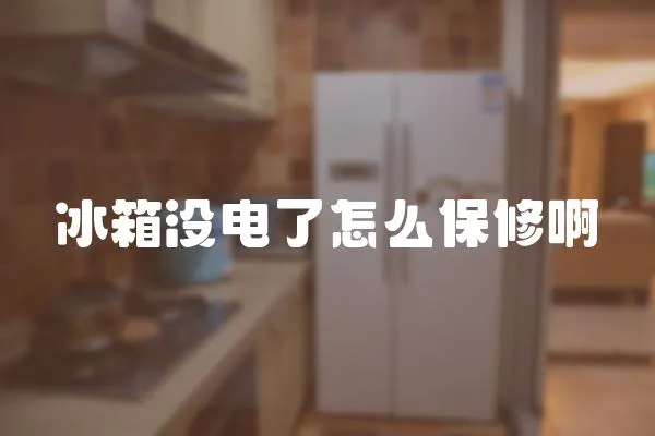 冰箱沒電了怎么保修啊