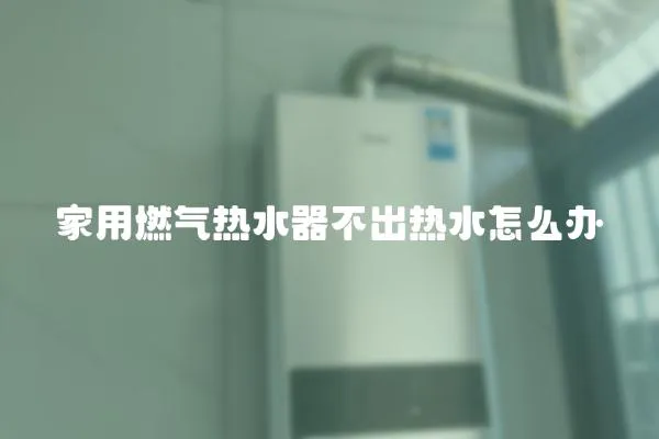 家用燃?xì)鉄崴鞑怀鰺崴趺崔k