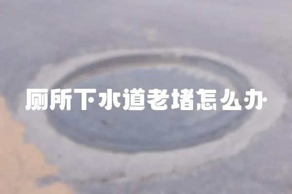 廁所下水道老堵怎么辦