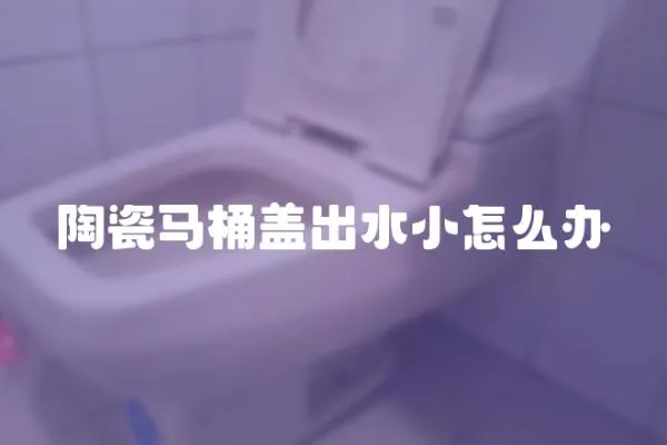 陶瓷馬桶蓋出水小怎么辦