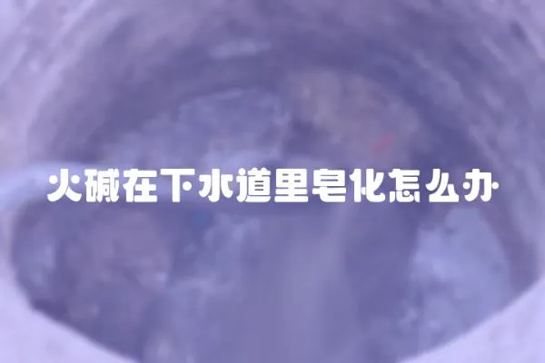 火堿在下水道里皂化怎么辦