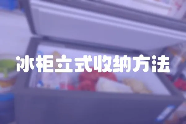 冰柜立式收納方法