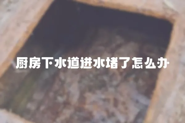 廚房下水道進(jìn)水堵了怎么辦