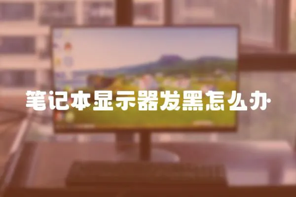 筆記本顯示器發(fā)黑怎么辦