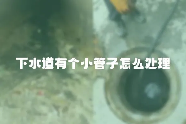 下水道有個小管子怎么處理