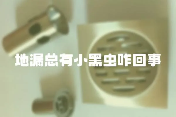 地漏總有小黑蟲咋回事