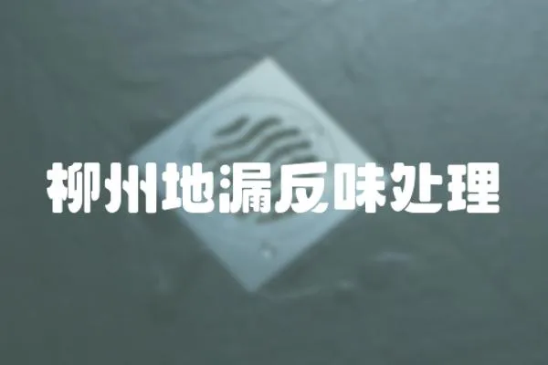 柳州地漏反味處理