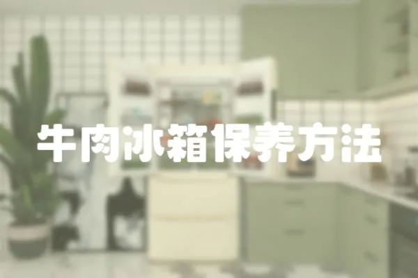牛肉冰箱保養方法
